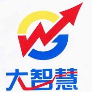 大智慧（601519）